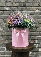 Цветочная композиция из Гипсофила и Розы в шляпной коробке в Курьи