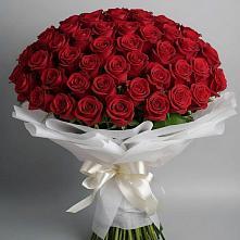 Букет 101 Красная роза Блэк Мэджик в Курьи