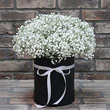 Цветочная композиция из Гипсофила в шляпной коробке #REPLACE_PRED# Курьи