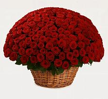 Премиум букет из: Розы в Курьи